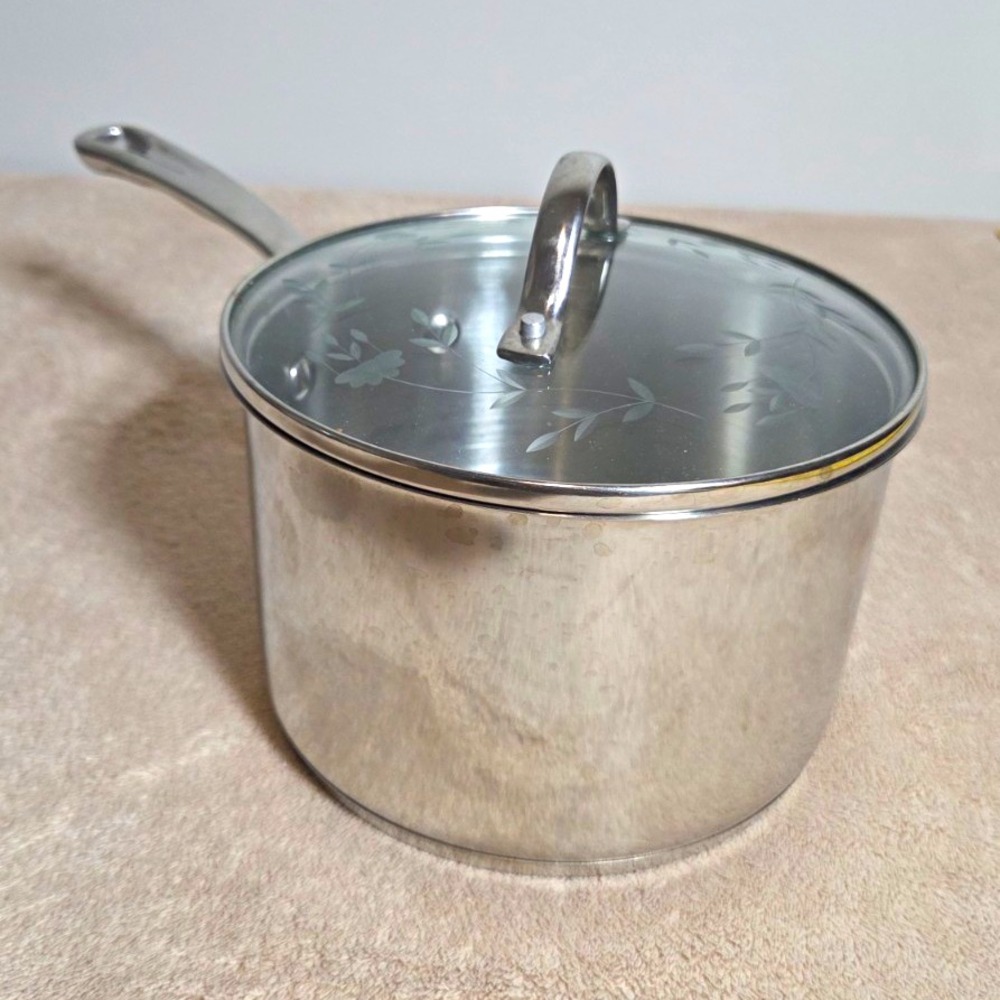 Princess House 3 qt Stainless Steel Saucepan w/ Lid, Long Handle, Silver